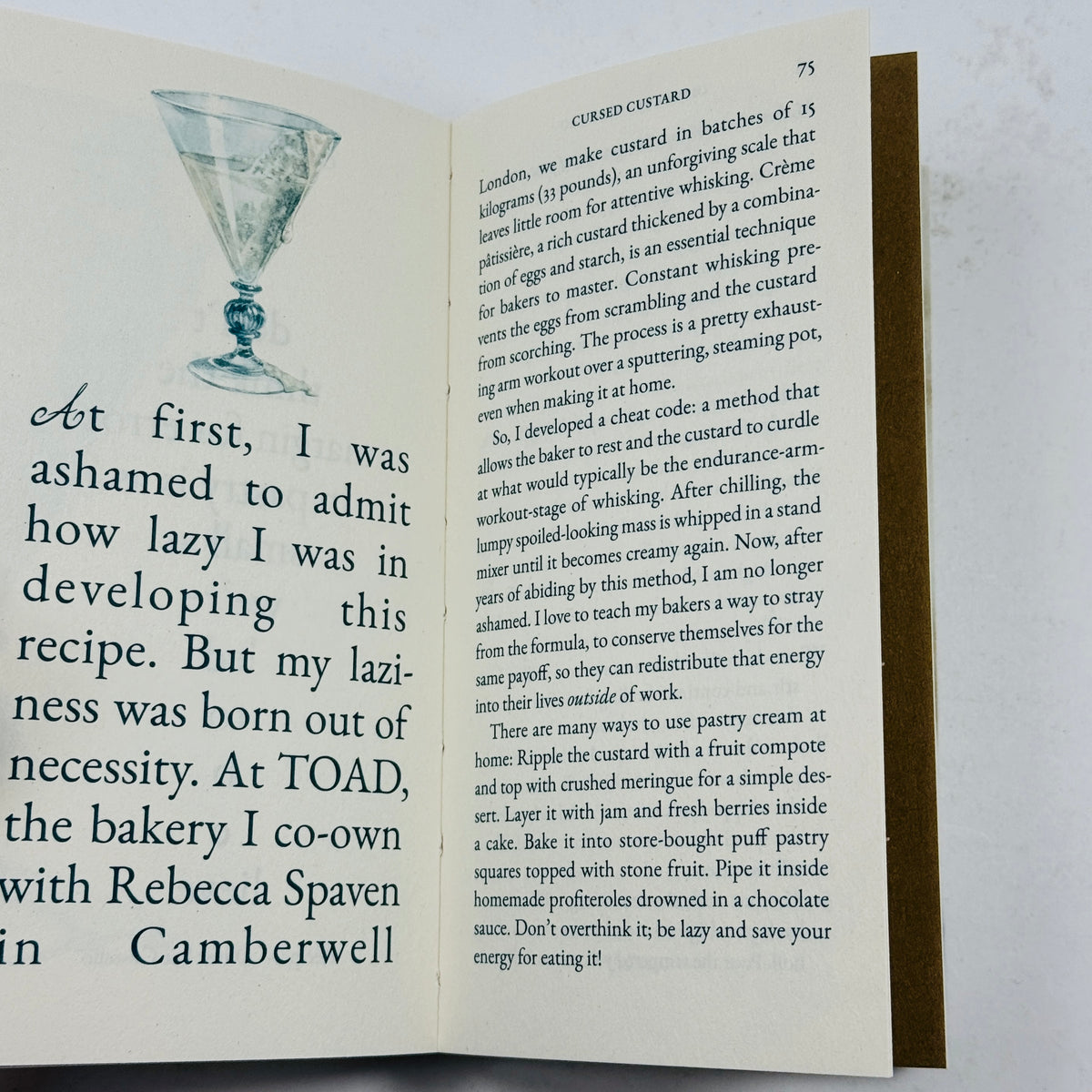 Cake Zine #6 - Spoiled Rotten