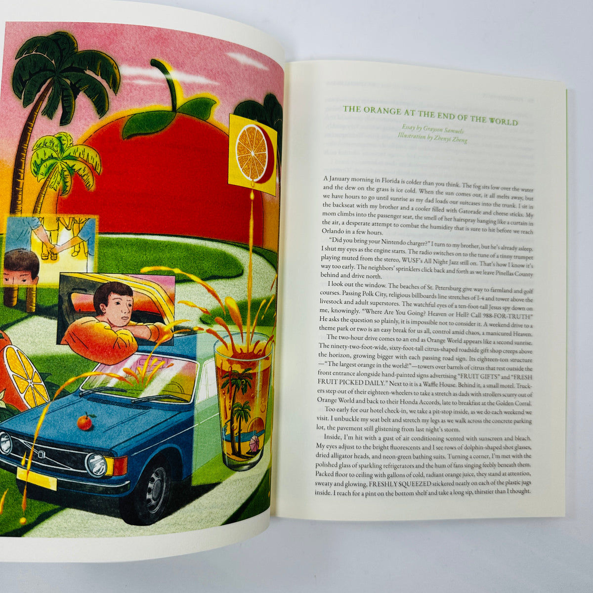 Cake Zine #7 - Forbidden Fruit