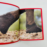 Camper 50 - Graphic Design - Irma Boom