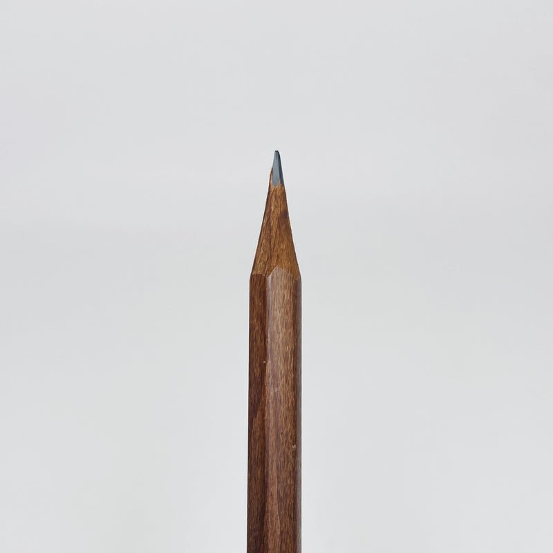Caran d'Ache Graphite Pencil - Swisswood HB