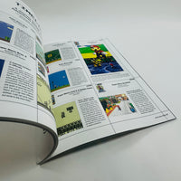 Casa Brutus - Super Mario Bros. and Design (English Edition)