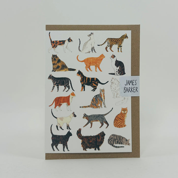 Cats - James Barker Card