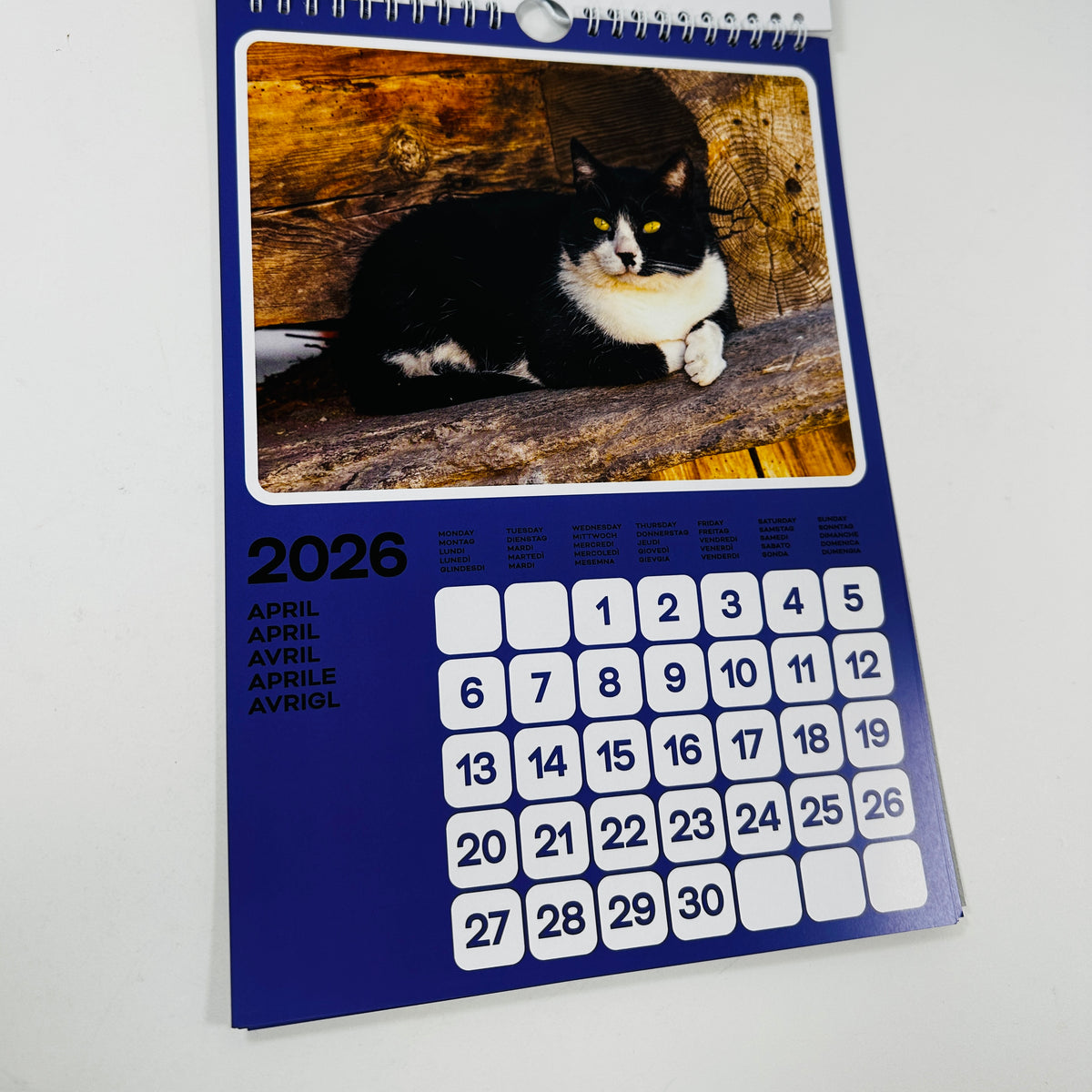 Cats of the Alps - 2026 Catlendar