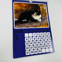 Cats of the Alps - 2026 Catlendar