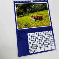 Cats of the Alps - 2026 Catlendar