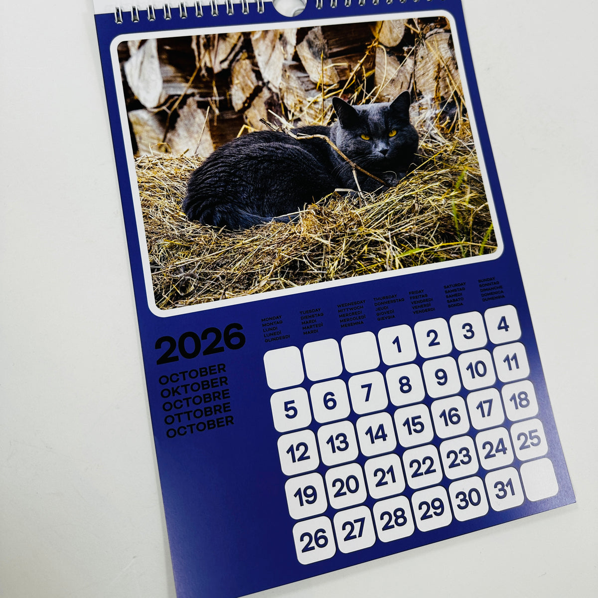Cats of the Alps - 2026 Catlendar
