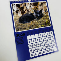 Cats of the Alps - 2026 Catlendar