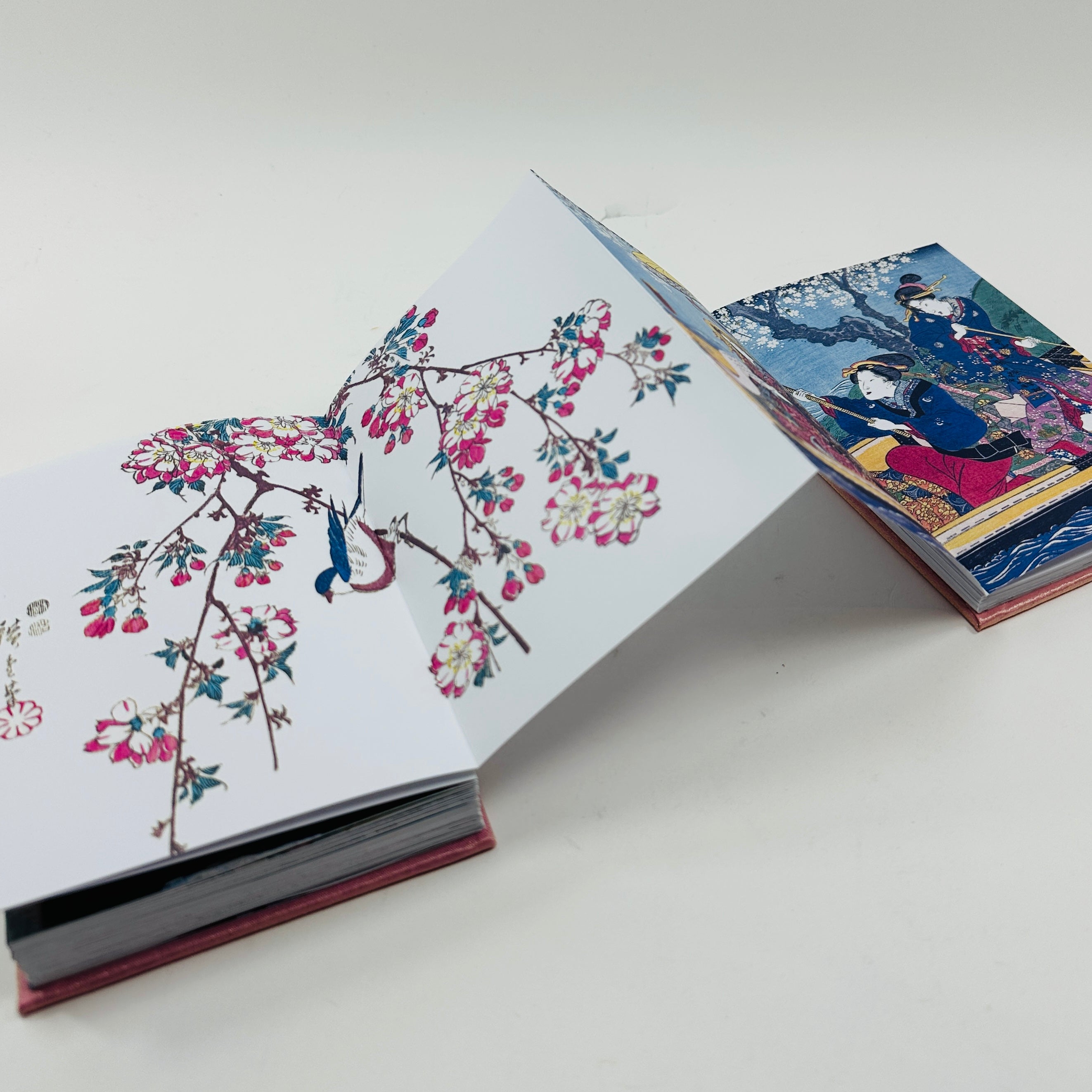 Cherry Blossoms - Great Works of Japanese Woodblock Printing – UNITOM