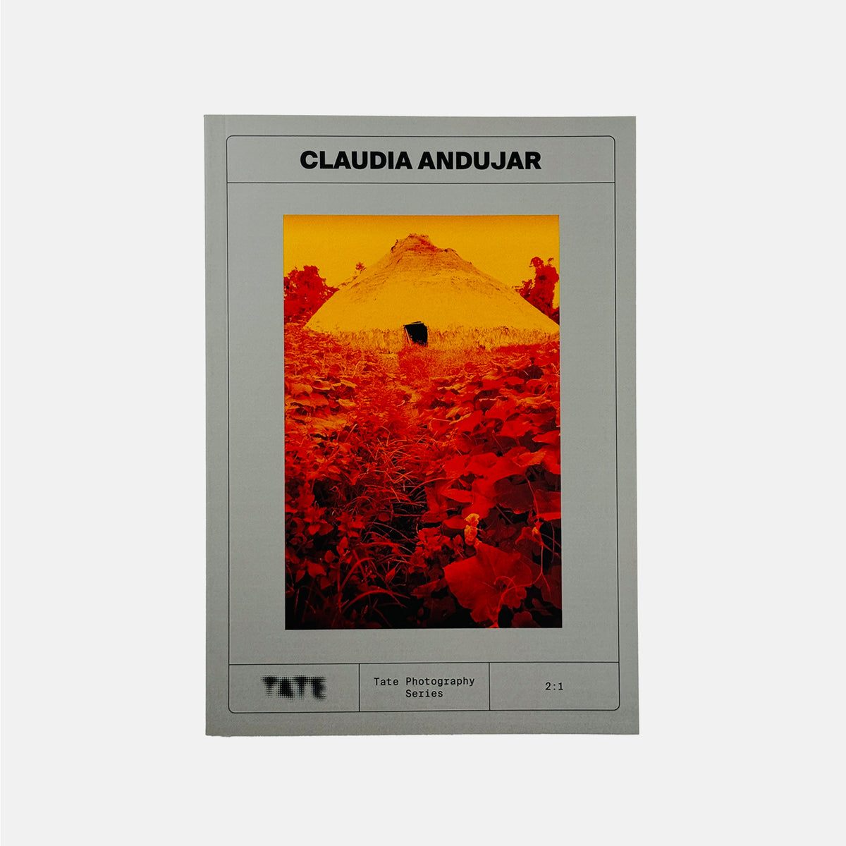 Claudia Andujar - Tate Photography Series
