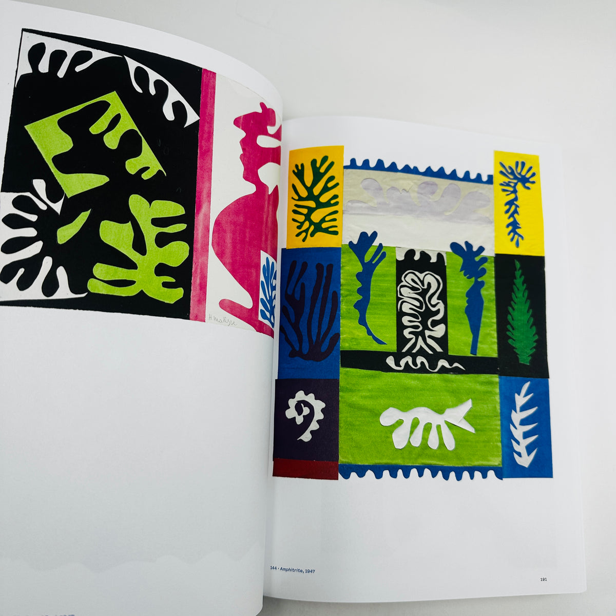 Colour Unbound - Henri Matisse 1941-1954