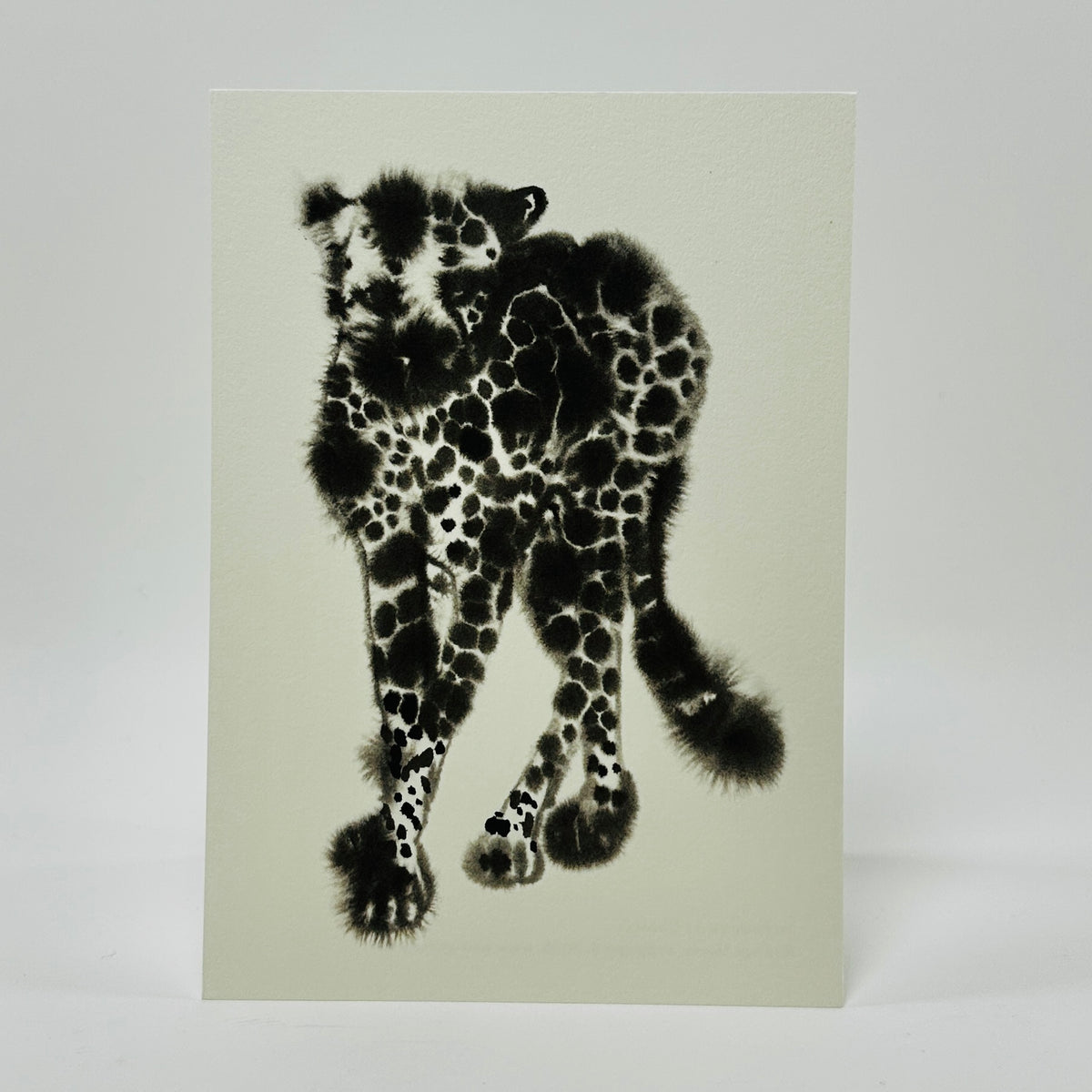 Colouring Postcard Set - Rop van Mierlo