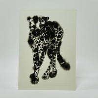 Colouring Postcard Set - Rop van Mierlo