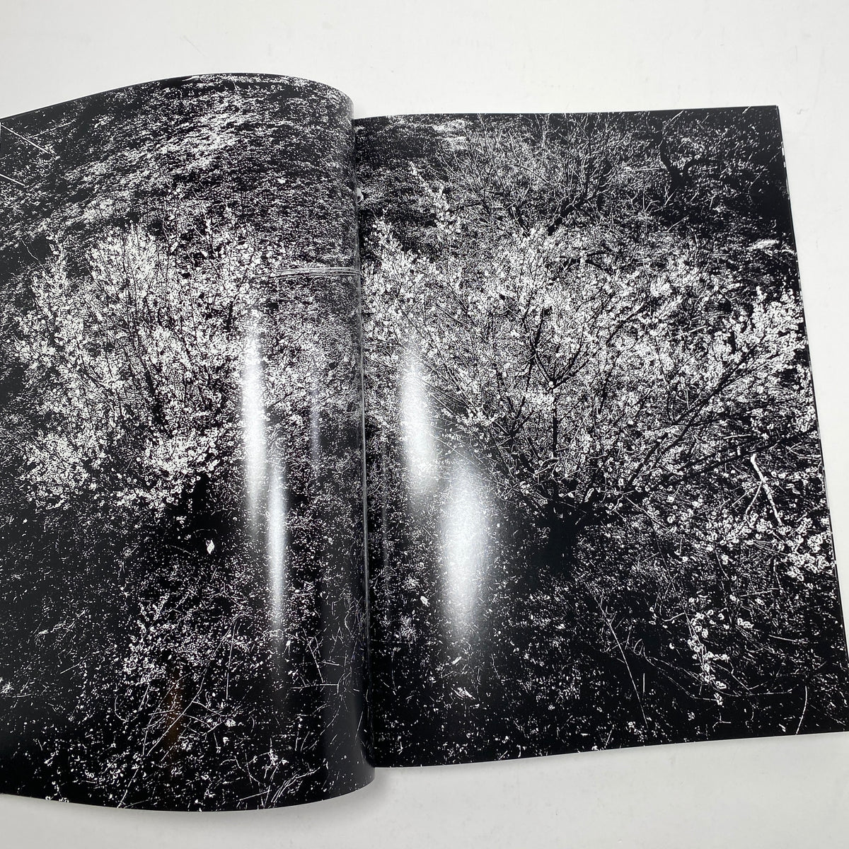 Daido Moriyama - Record 2