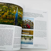 Damn #91 - Autumn/Winter 2025