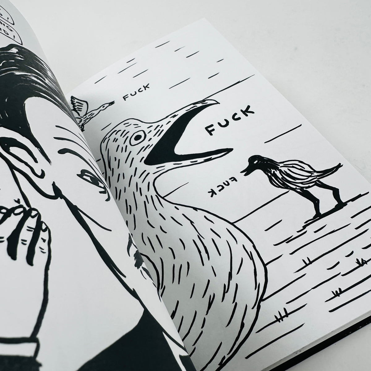 David Shrigley - I Am The Jug You Are The Glass