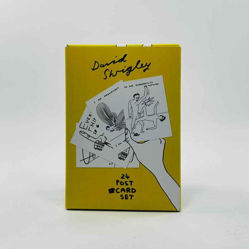 David Shrigley 24 Postcard - Set 2