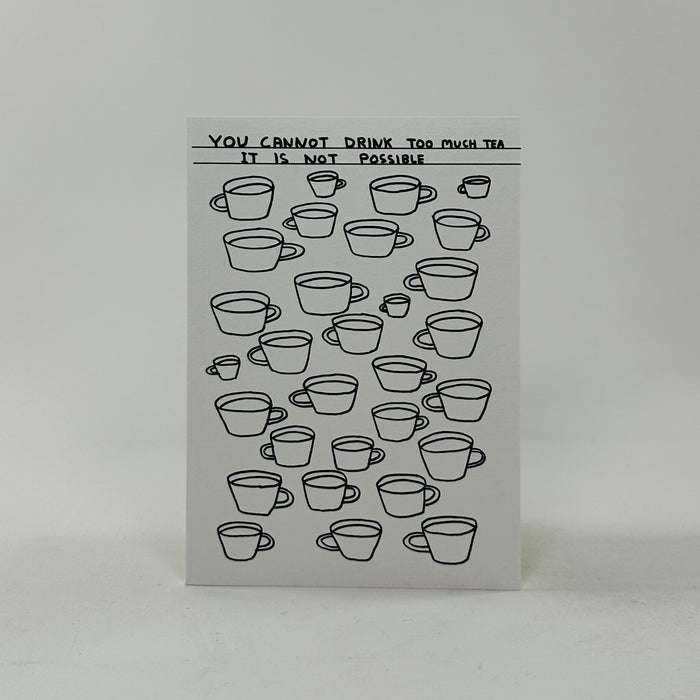 David Shrigley A6 Notebook - Drink Too Much Tea