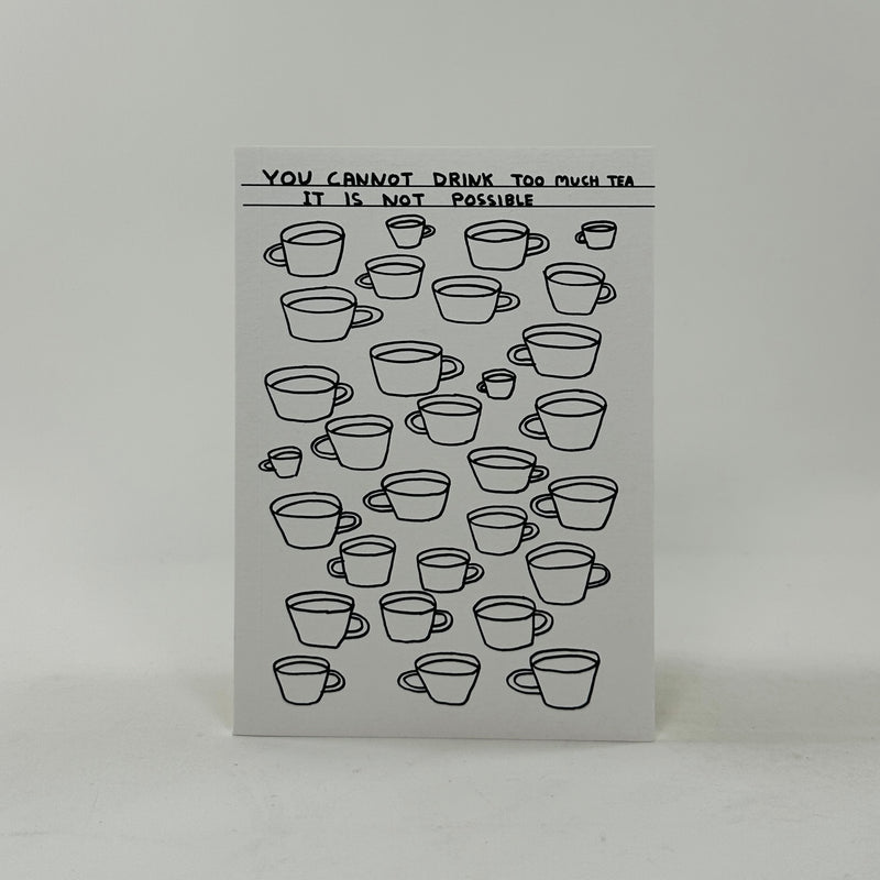 David Shrigley A6 Notebook - Drink Too Much Tea