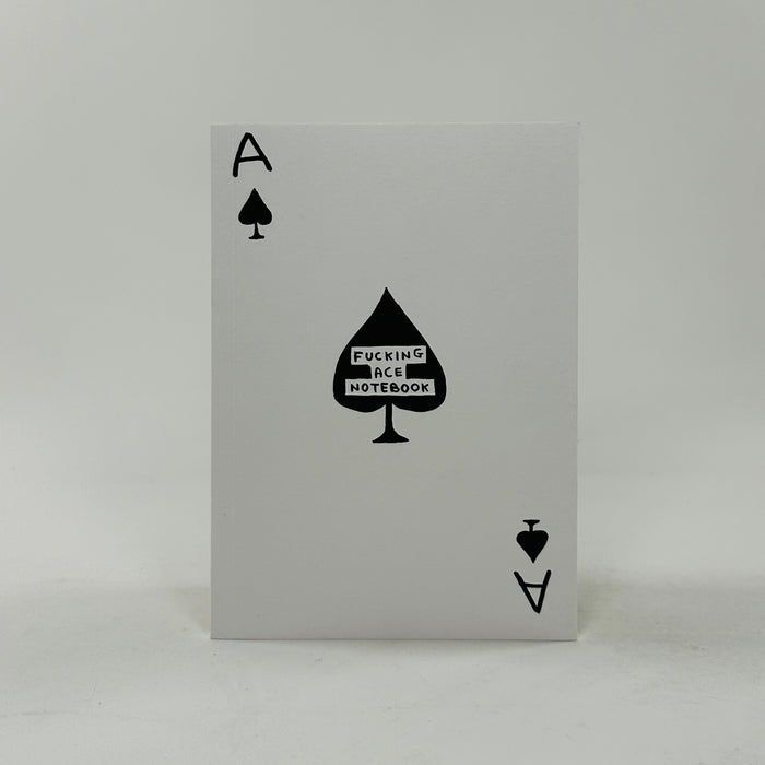 David Shrigley A6 Notebook - Fucking Ace