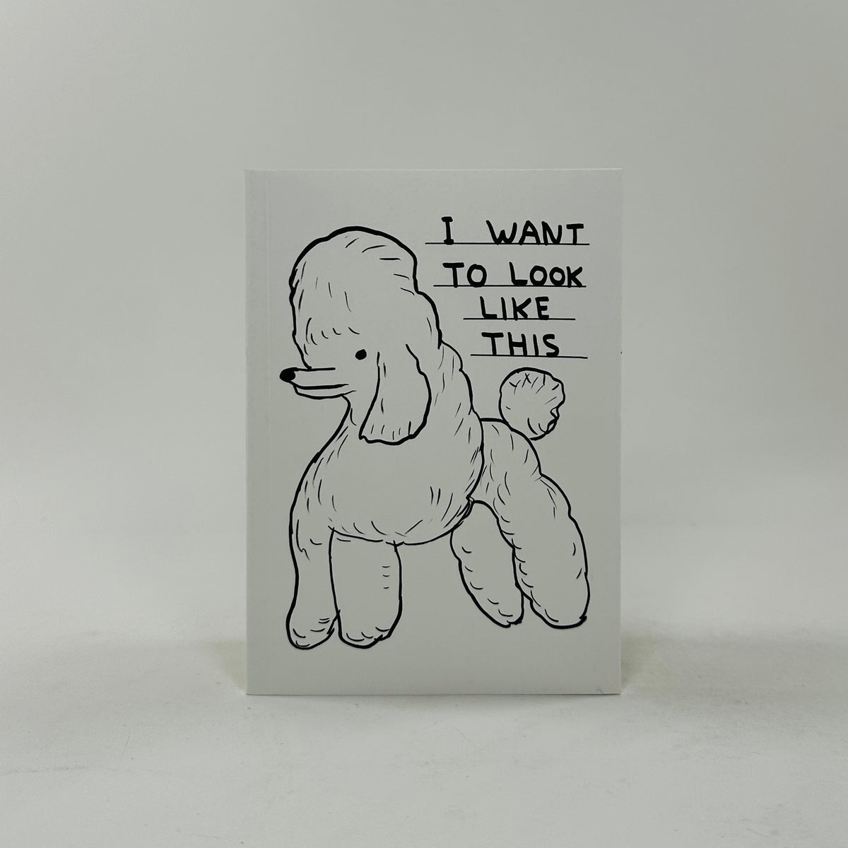 David Shrigley A6 Notebook - I Want to Look Like This