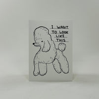 David Shrigley A6 Notebook - I Want to Look Like This