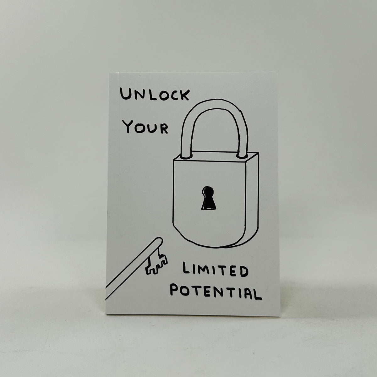 David Shrigley A6 Notebook - Limited Potential