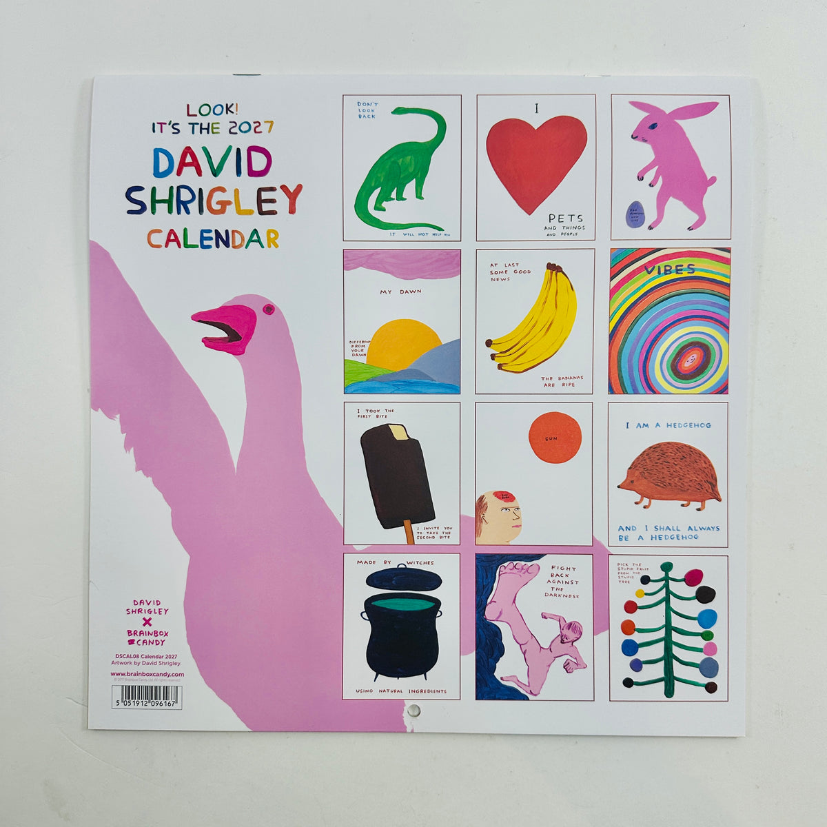 David Shrigley Calendar 2027
