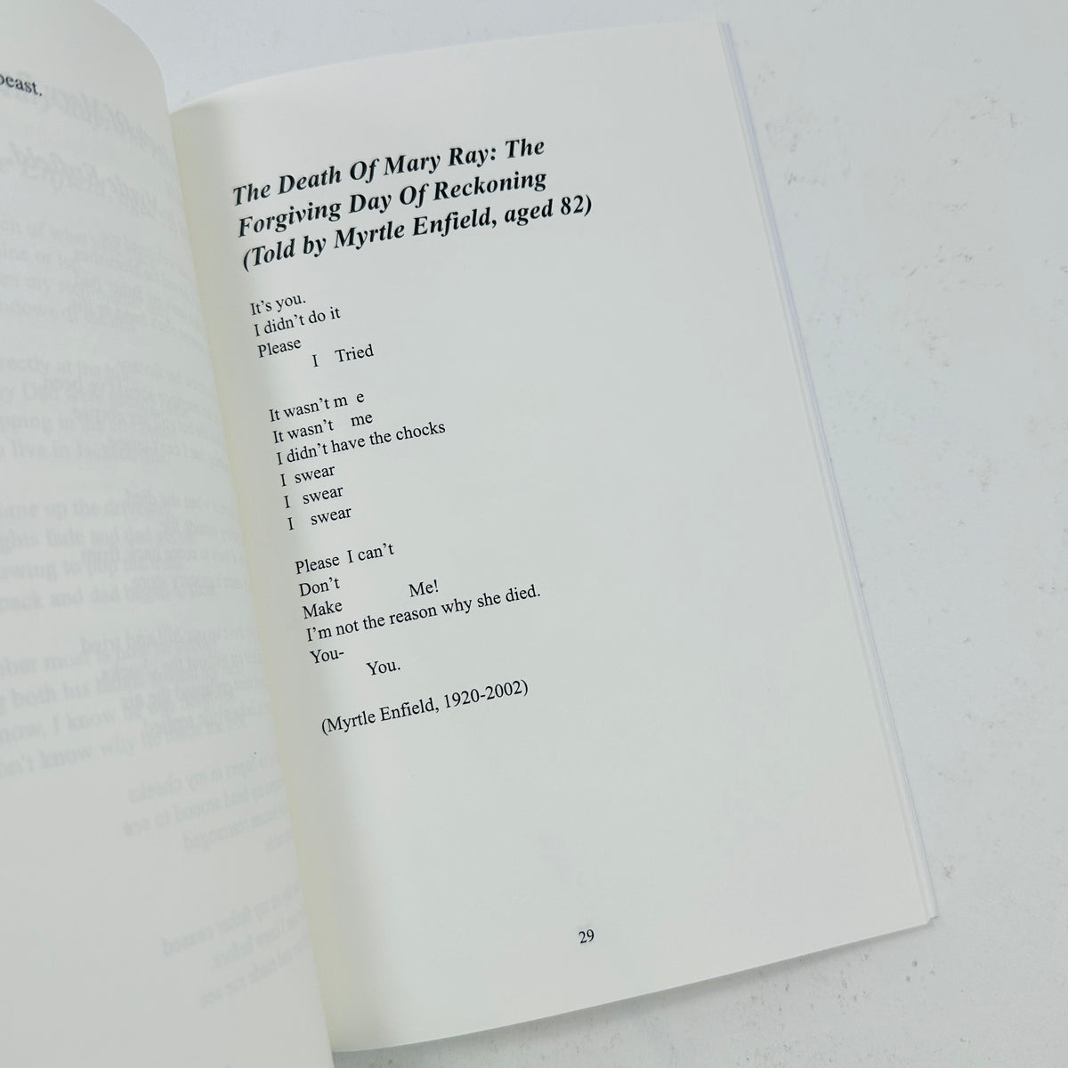 Dead in Dog Years - Warren Denbrock Porter