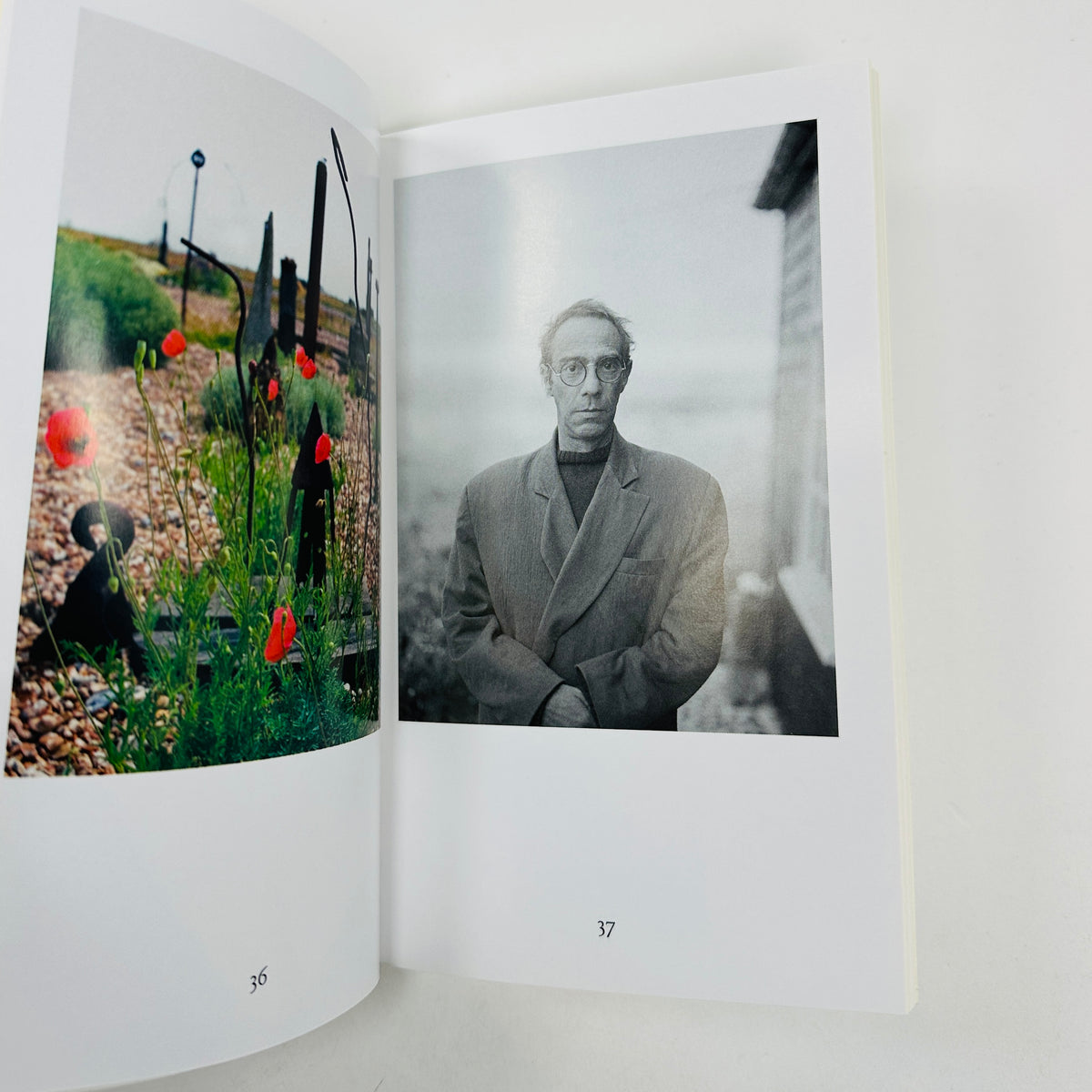 Derek Jarman's Modern Nature