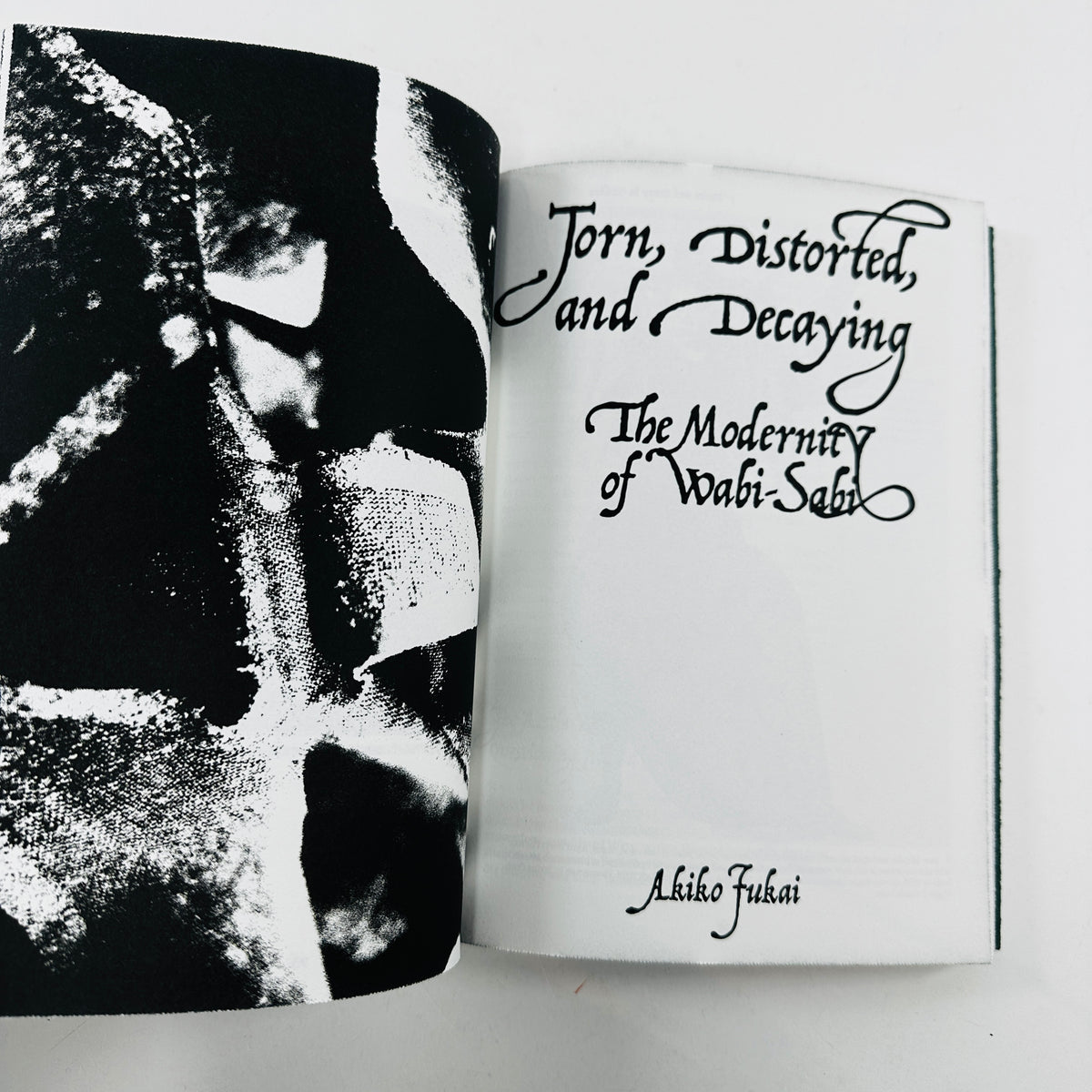 Dirty Looks - Desire and Decay in Fashion