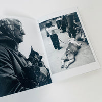 Dogs 1960s–1980s - Shirley Baker