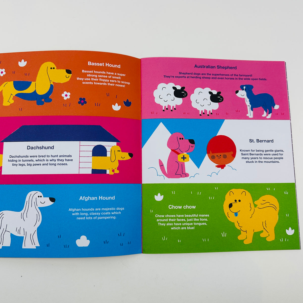 Dot #33 - Dogs