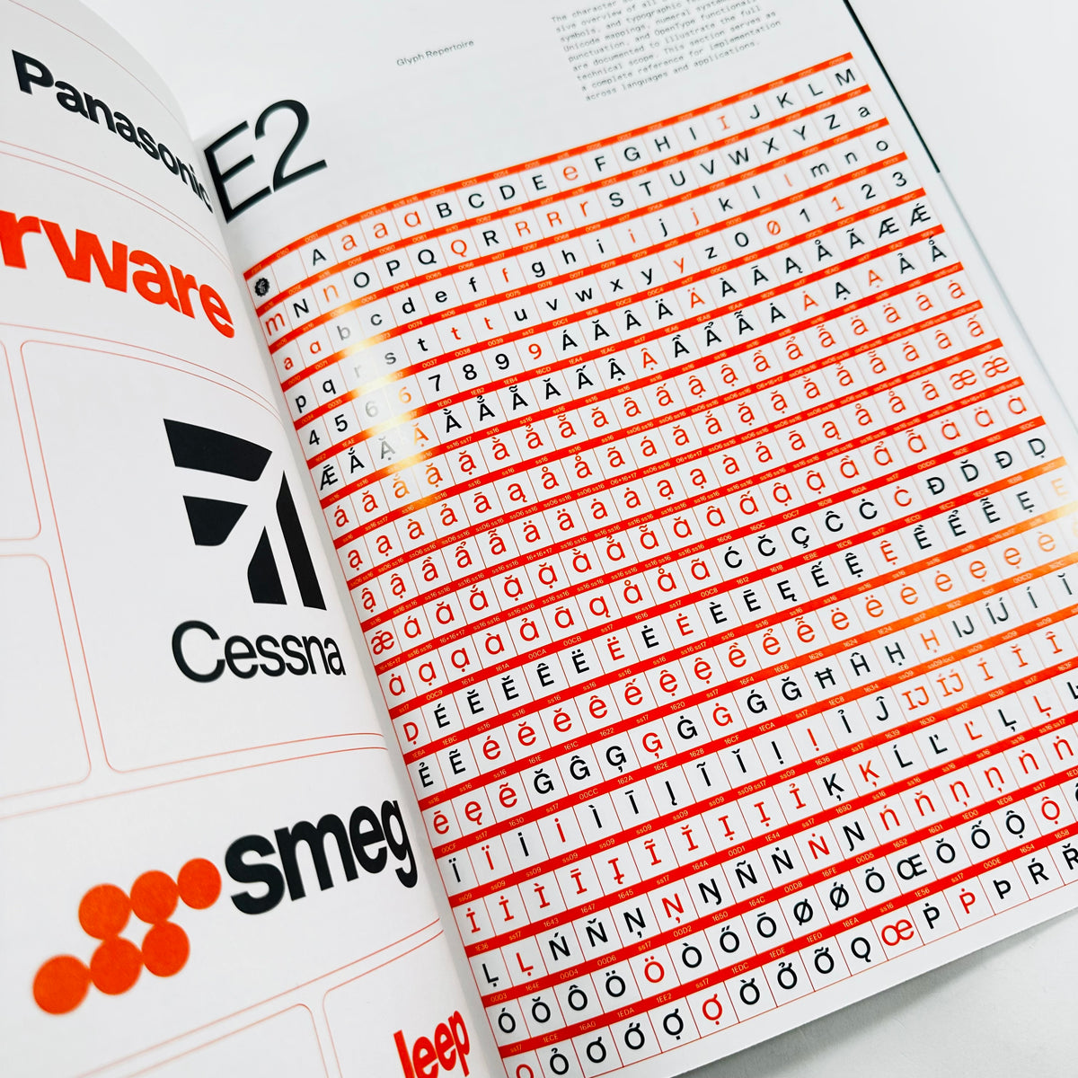 EK Baumer Type-Specimen