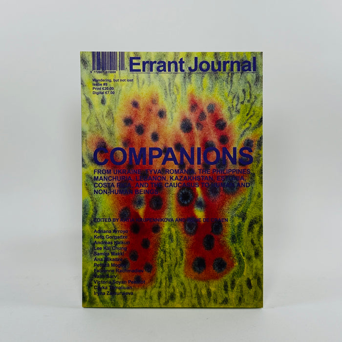 Errant #9 - Companions