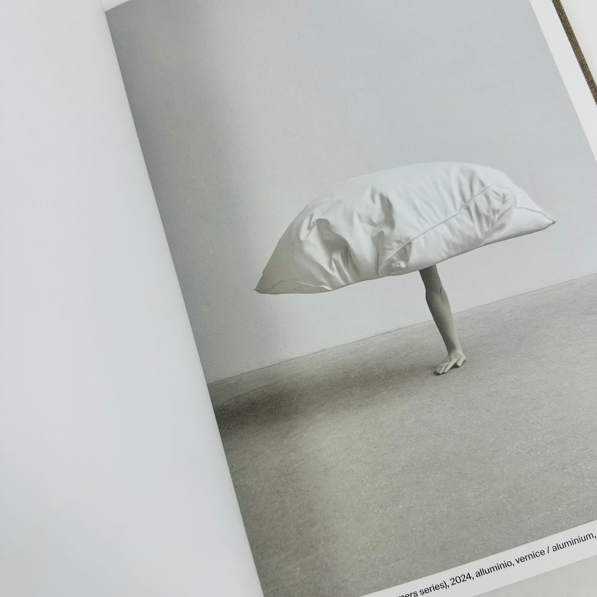 Erwin Wurm