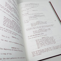 Everything Everywhere All at Once Screenplay Book