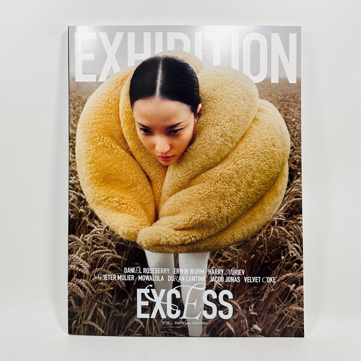 Exhibition #22 - Excess