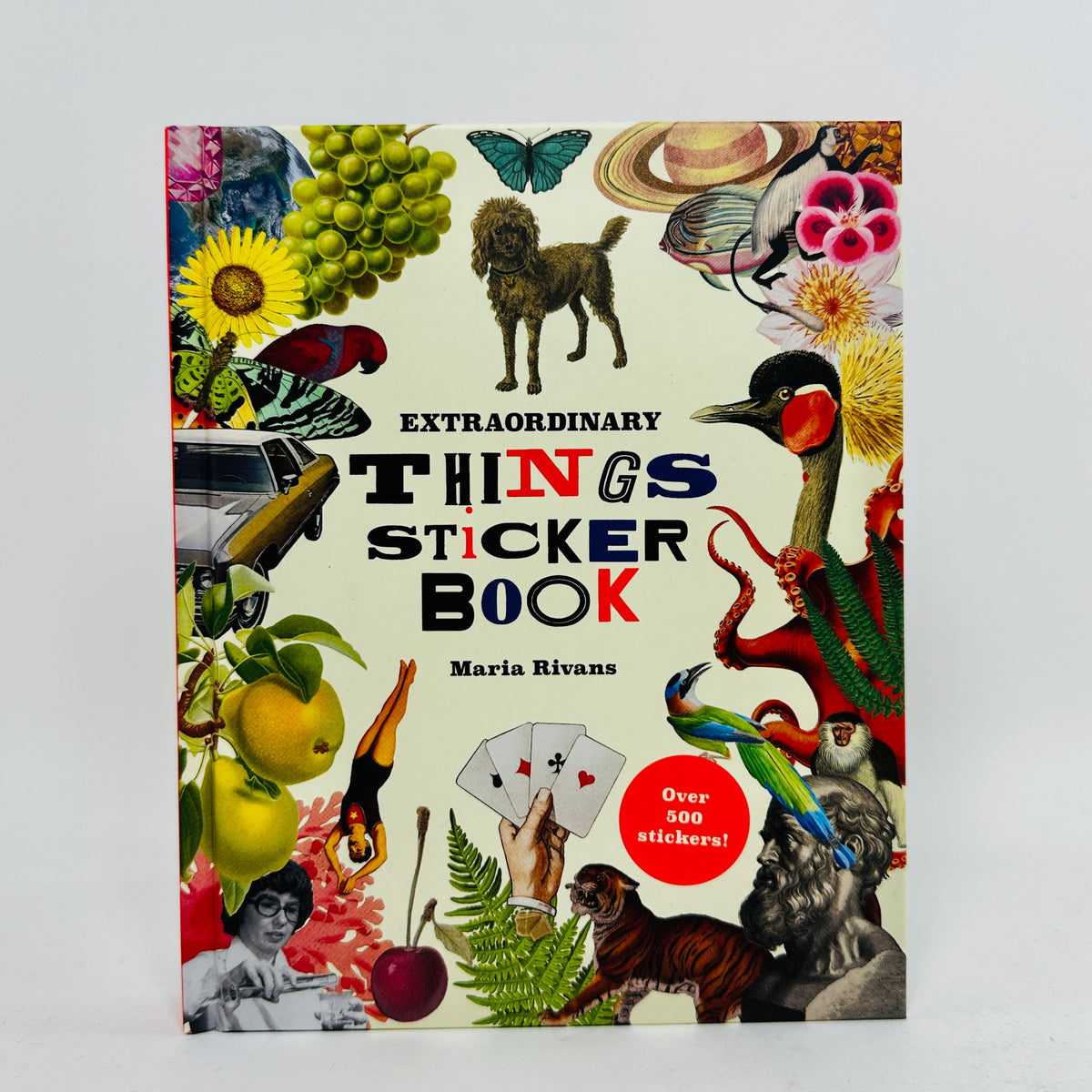 Extraordinary Things Sticker Book