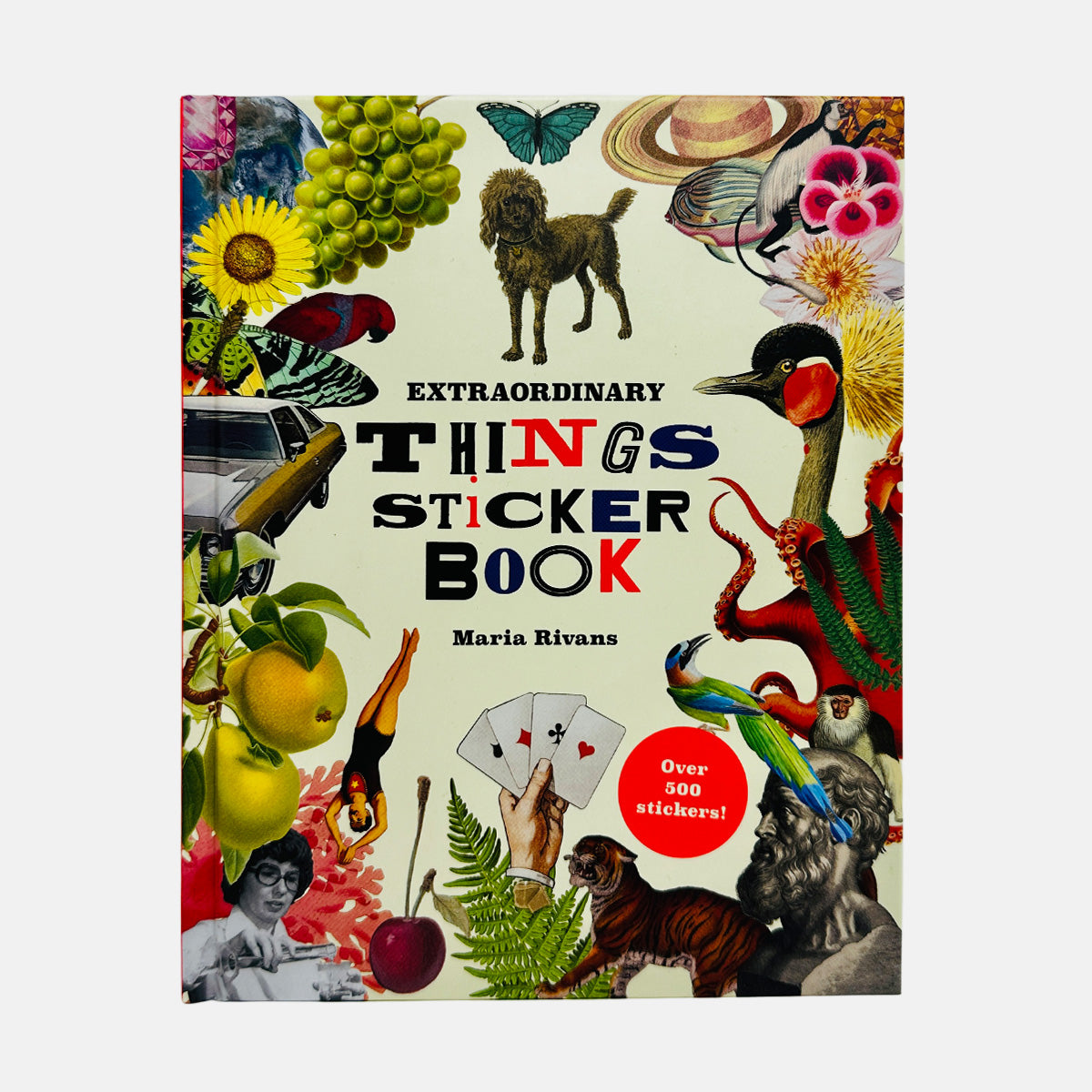 Extraordinary Things Sticker Book
