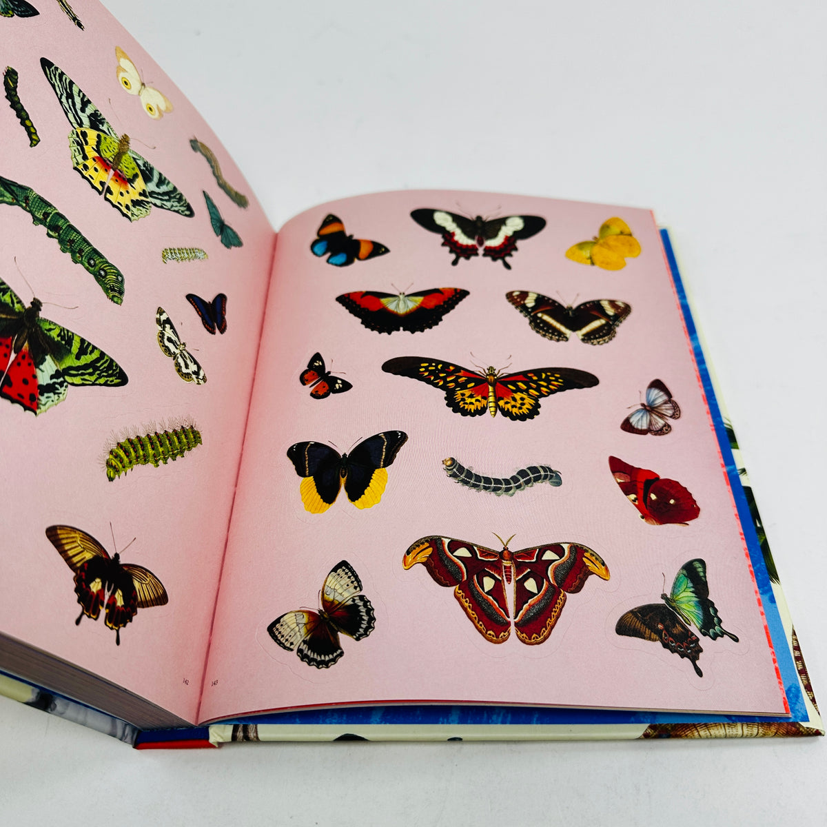 Extraordinary Things Sticker Book