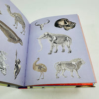 Extraordinary Things Sticker Book