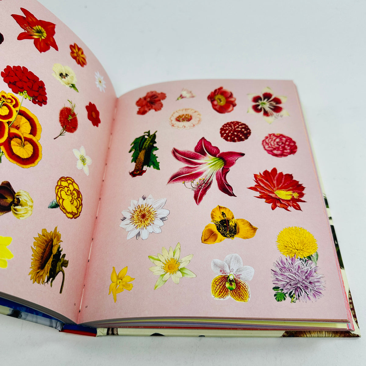 Extraordinary Things Sticker Book