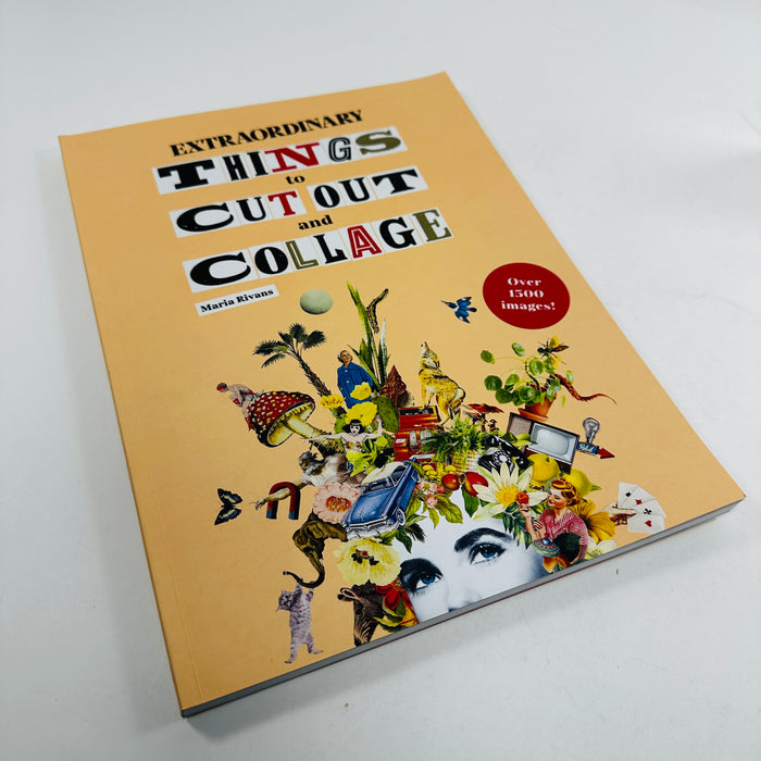 Extraordinary Things to Cut Out and Collage