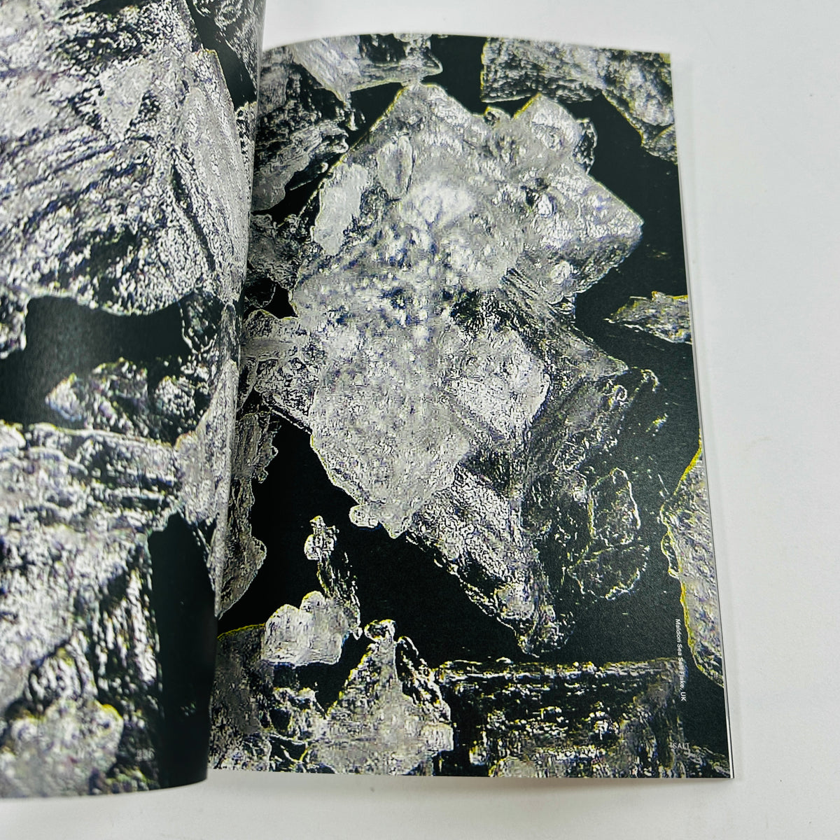 F Magazine #1 - Salt