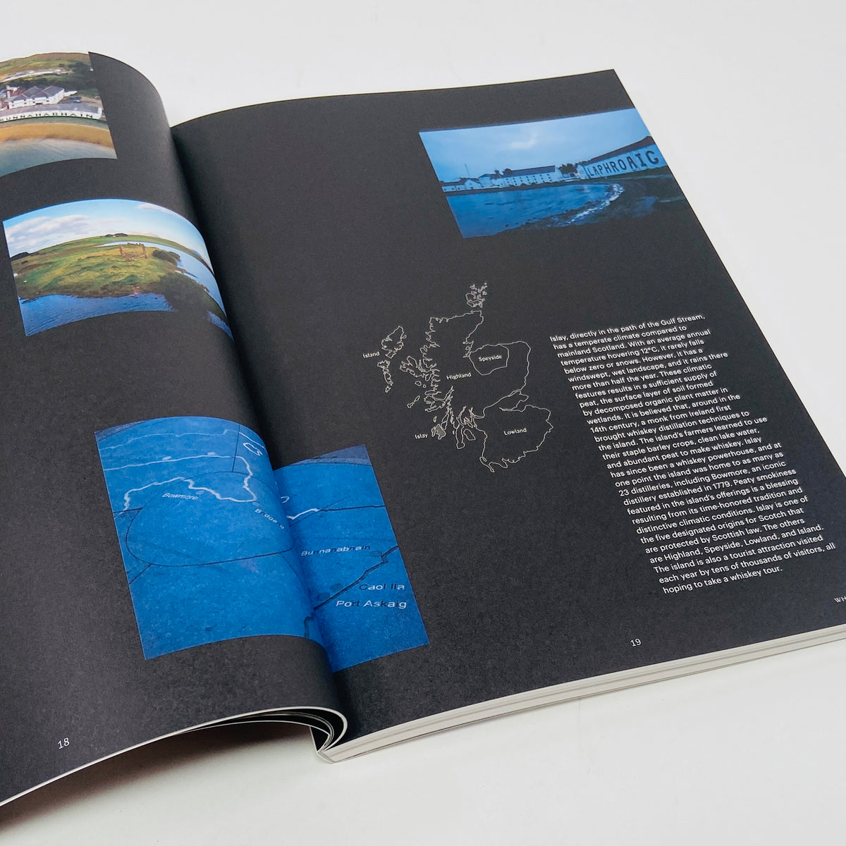 F Magazine #19 - Whiskey