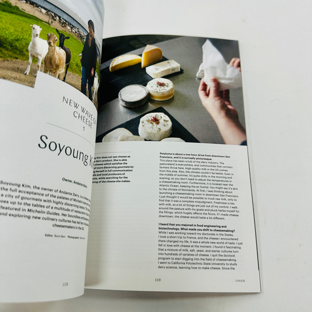 F Magazine #2 - Cheese