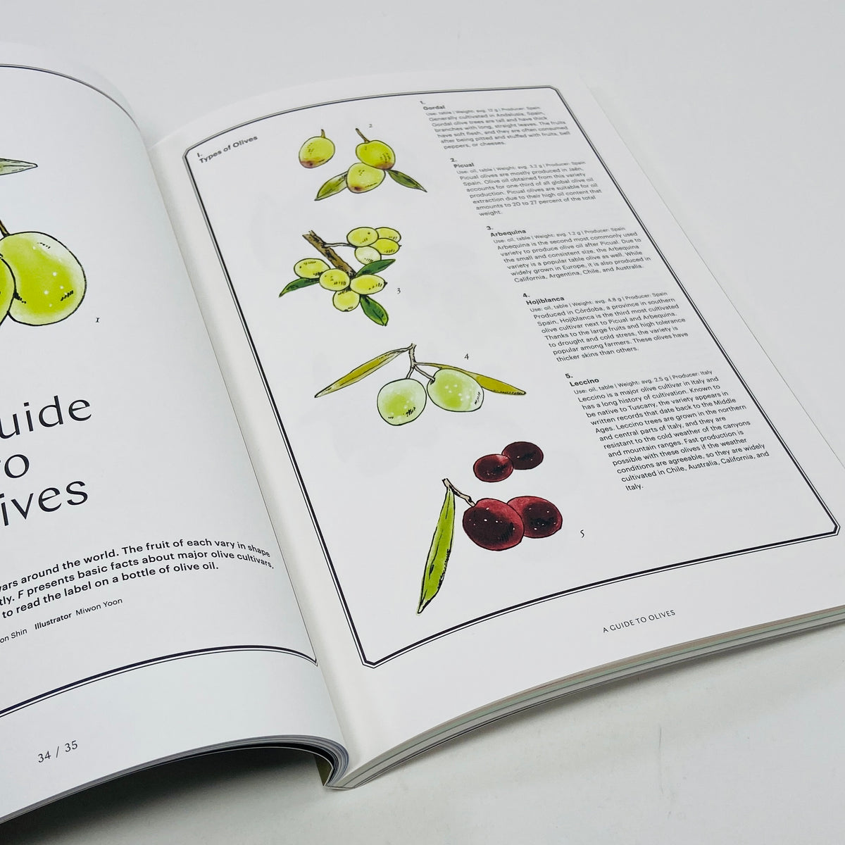 F Magazine #22 - Olive