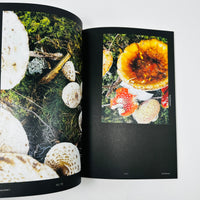 F Magazine #23 - Mushroom