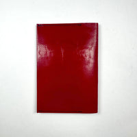 FREITAG F243 - Explorer - Red