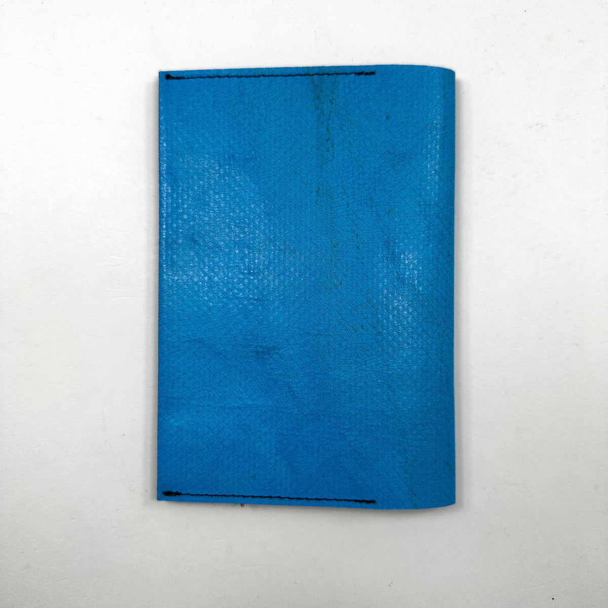 FREITAG F243 - Explorer - Light Blue with Green